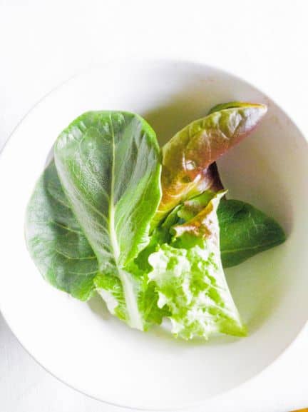 fresh spring vegetables lettuce and herbs in white bowl
