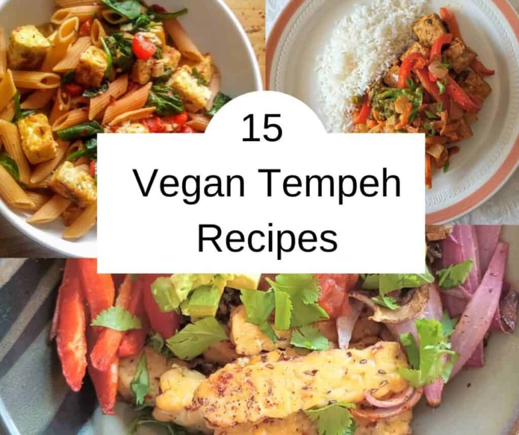 15 vegan tempeh recipes with recipe photos behind title.